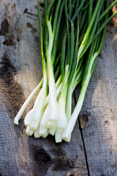 Similar image 13067050