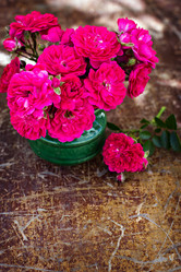 Similar image 13071642