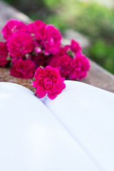 Similar image 13071662