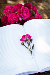 Similar image 13071663