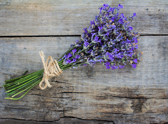 Similar image 13071682