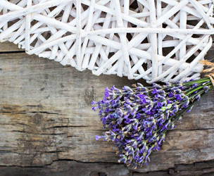 Similar image 13071703