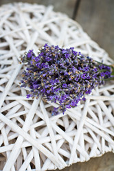 Similar image 13071719