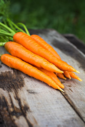 Similar image 13071743