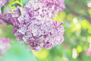 Similar image 13066949