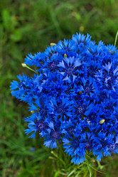 Similar image 13066971