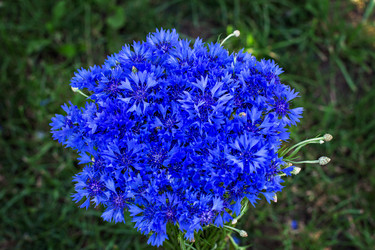 Similar image 13066972