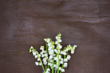 Similar image 13066991