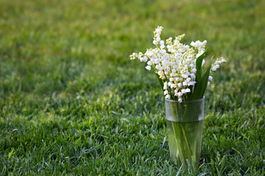 Similar image 13067011