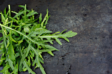 Similar image 13067125