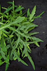 Similar image 13067126