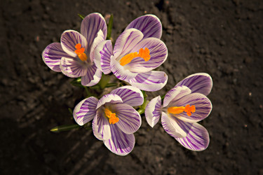 Similar image 13067127