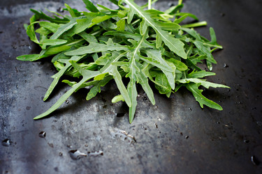 Similar image 13067146