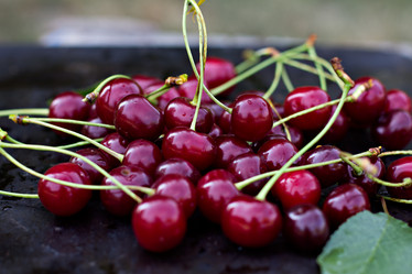 Similar image 13067147