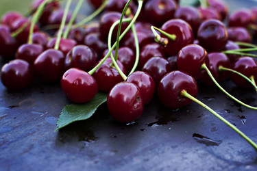 Similar image 13067188