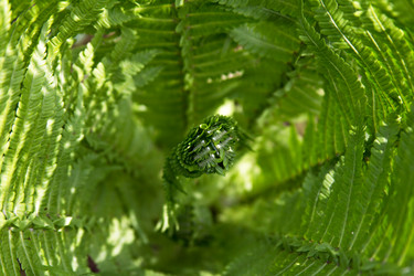 Similar image 13066790