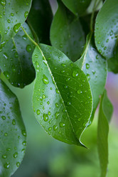 Similar image 13066809