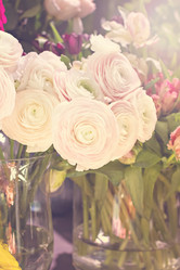 Similar image 13066935