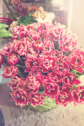 Similar image 13066953