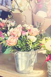 Similar image 13066973