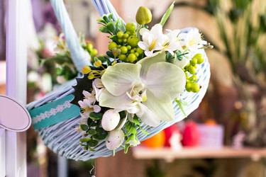 Similar image 13066974