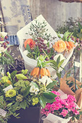 Similar image 13067228