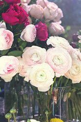 Similar image 13067230