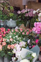 Similar image 13067248