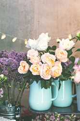 Similar image 13067268