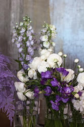 Similar image 13067287