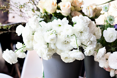 Similar image 13067305