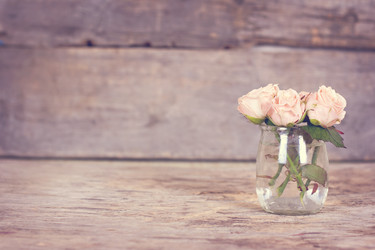 Similar image 13071881