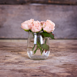 Similar image 13071900