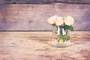 Similar image 13071918