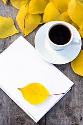 Similar image 13071558