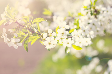 Similar image 13071980