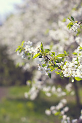 Similar image 13072023