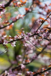 Similar image 13072024