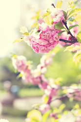 Similar image 13067512