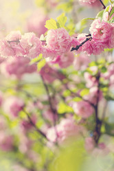 Similar image 13066613