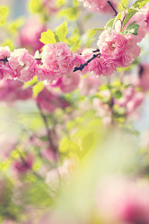 Similar image 13066670