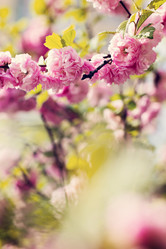 Similar image 13066671