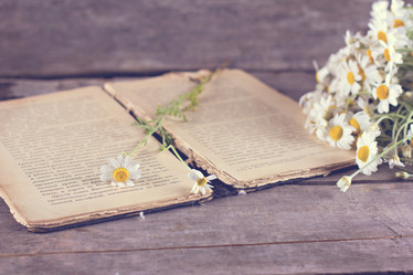 Similar image 13067373