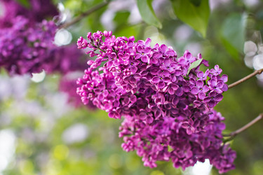 Similar image 13071565