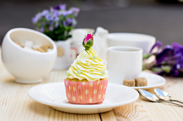 Similar image 13071847