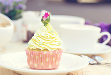 Similar image 13071863