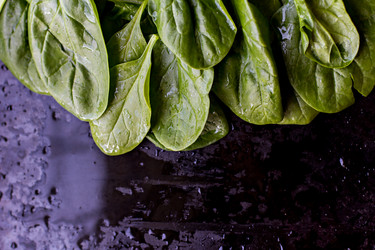 Similar image 13071939