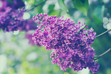 Similar image 13071959