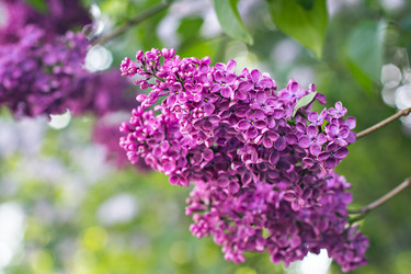 Similar image 13071960