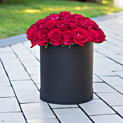 Similar image 13066396